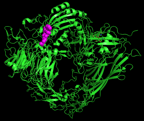 Integrin αvβ3 and RGD Binding